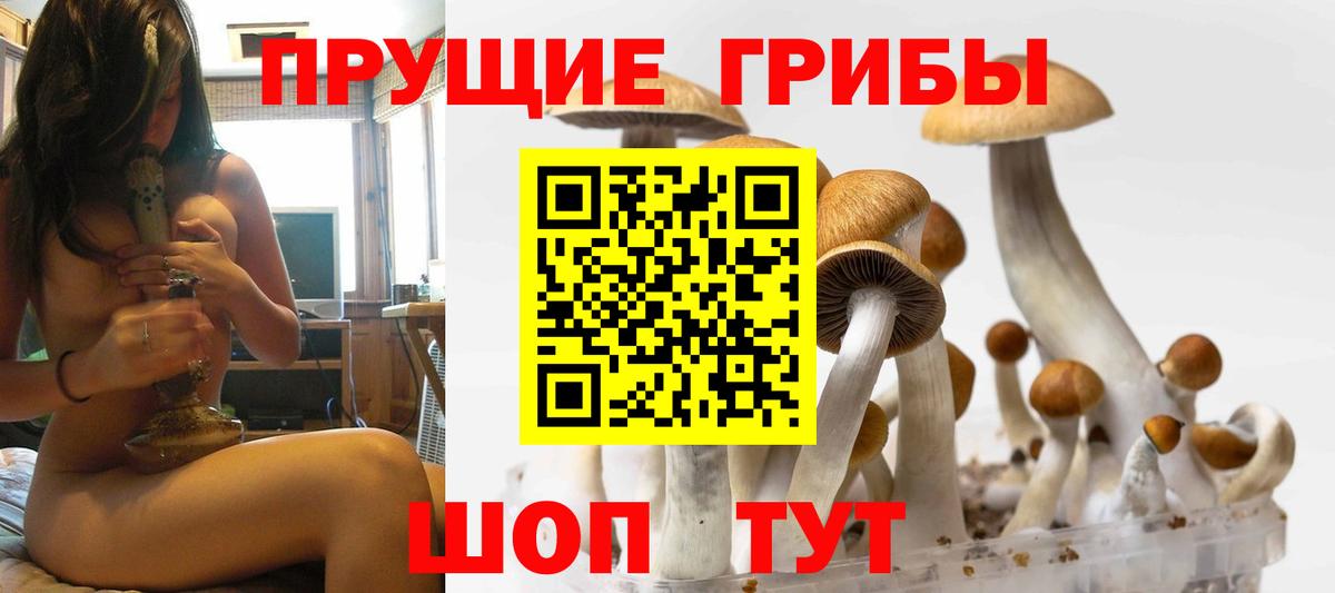 Похвистнево  Галлюциногенные грибы мицелий  Псилоцибиновые грибы ЛСД  Вход с VPN 